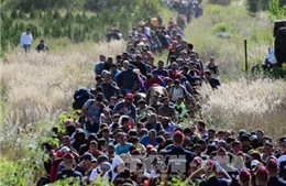 Khoảng 450.000 người di cư sẽ hưởng quy chế tị nạn lâu dài